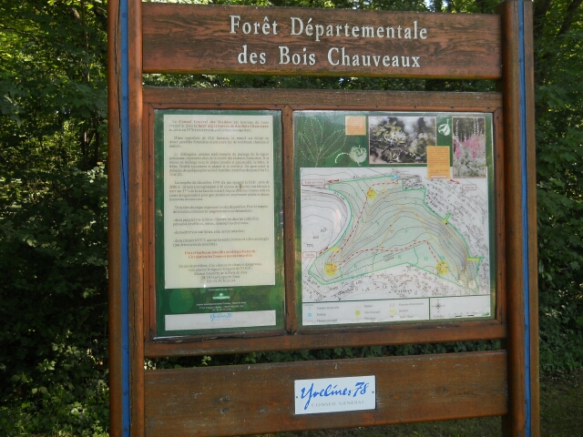 2015-06-05-palaiseau (13)