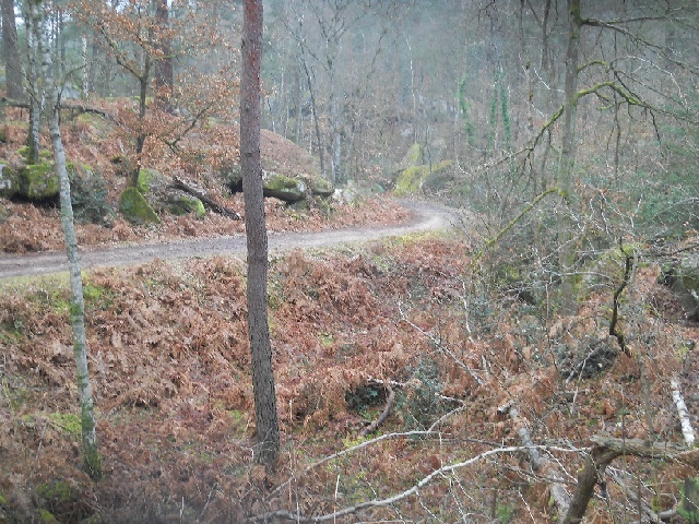 2013-02-17-dammarie-les-lys (04)