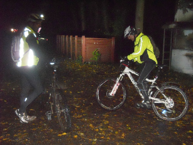 2013-11-09-bois-le-roi (01)
