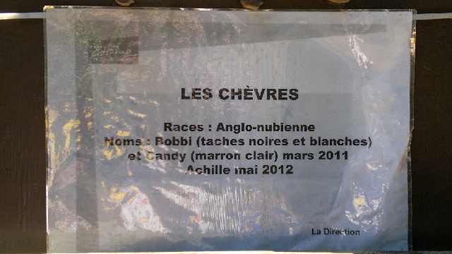 2013-08-04-chamarande (20)