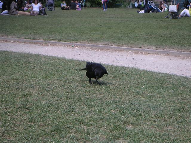 2011-04-25 - paris (47)
