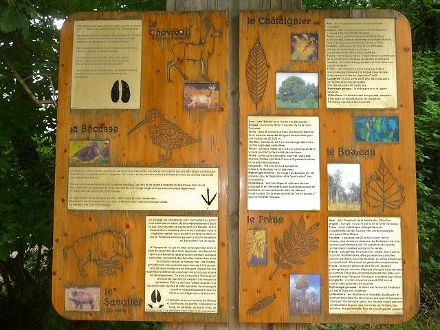 2011-06-04 - perouges (008)