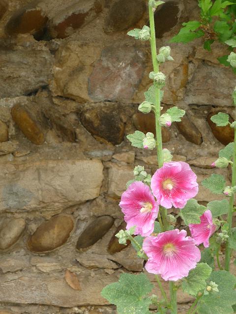 2011-06-04 - perouges (022)
