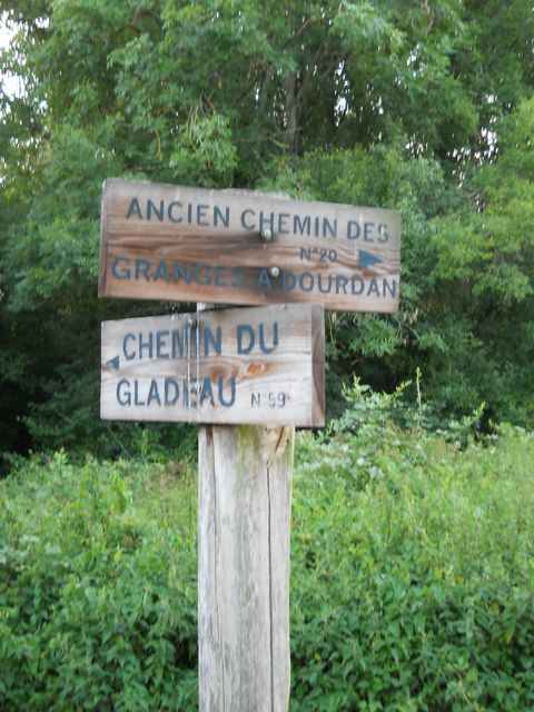 2011-07-02-marche dinatoire (11)