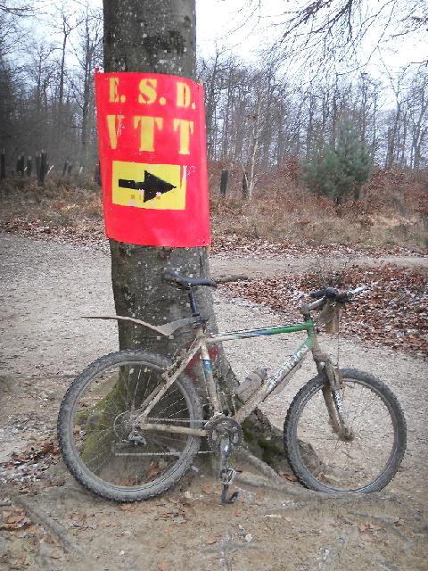 2012-02-05-dammarie (04)