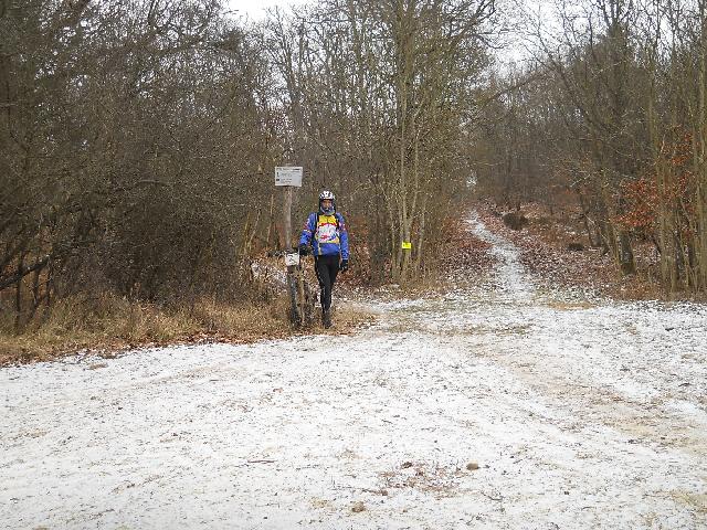 2012-02-05-dammarie (07)