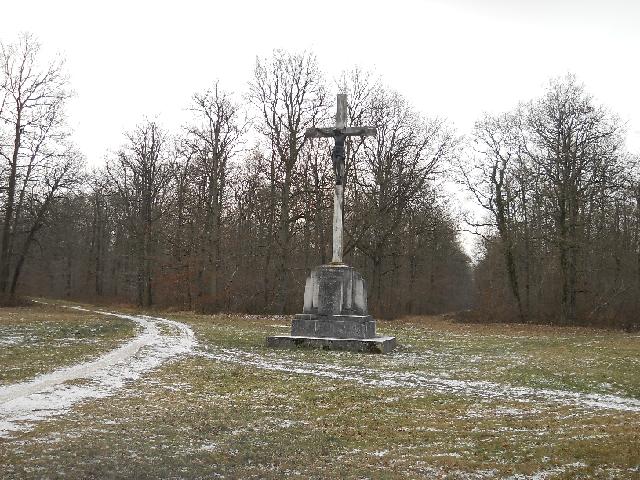 2012-02-05-dammarie (12)