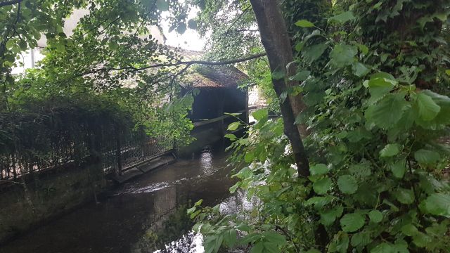 2019-08-18 - milly-la-foret (16)