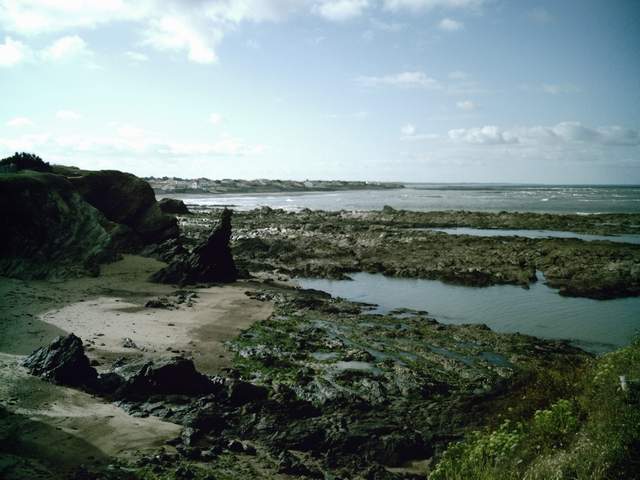 2007-07-25 (01)