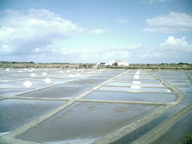 2010-07-22-noirmoutier (009)