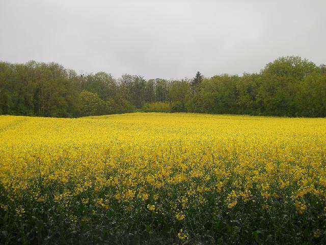 2012-05-06-coudray-montceaux (01)