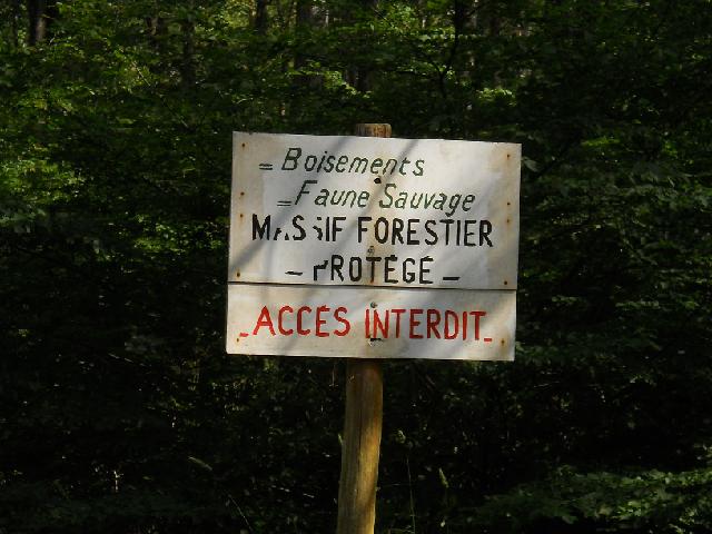 2012-06-23 - montrichard (39)