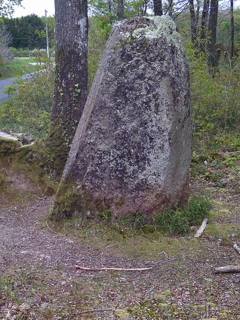 2016-04-24-saint-hilaire-de-chaleons (18)