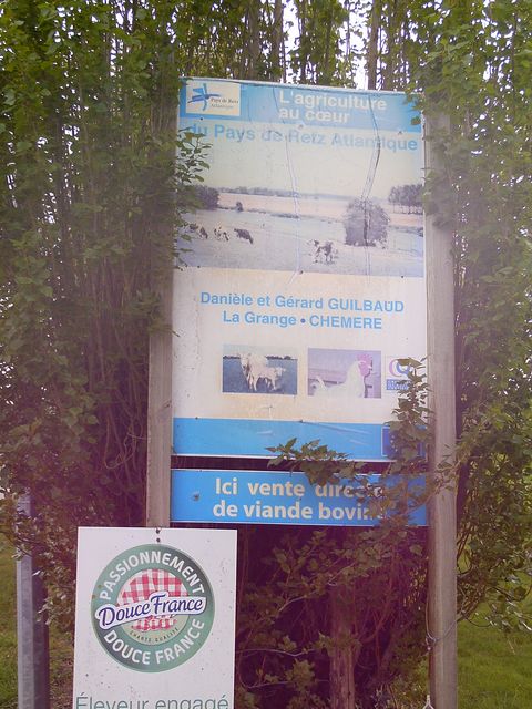 2016-04-24-saint-hilaire-de-chaleons (20)