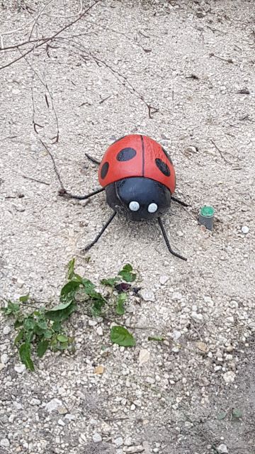 2018-05-16 - breuillet (11)