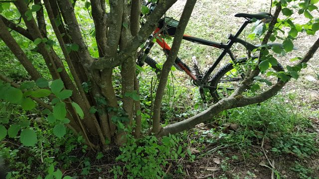 2018-05-16 - breuillet (18)