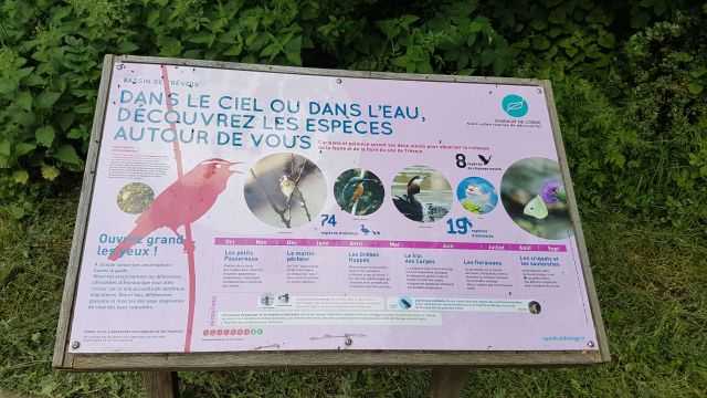 2018-05-16 - breuillet (21)