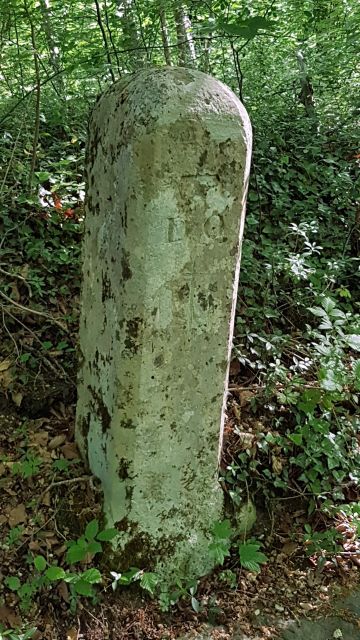 2018-05-12 - coucy-chateau-auffrique (08)