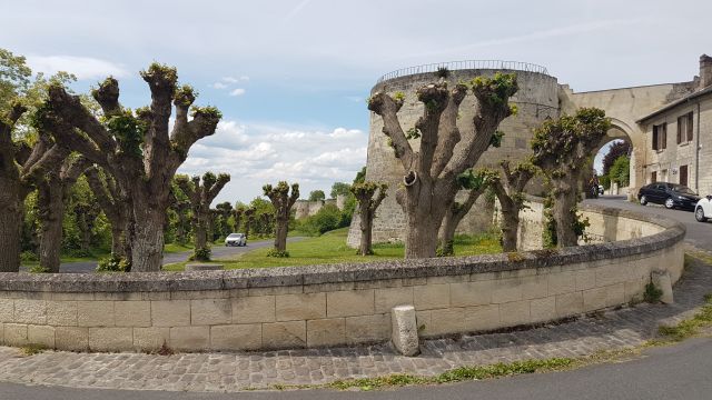 2018-05-12 - coucy-chateau-auffrique (60)