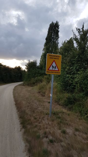 2018-07-28 - bois-de-cene (05)