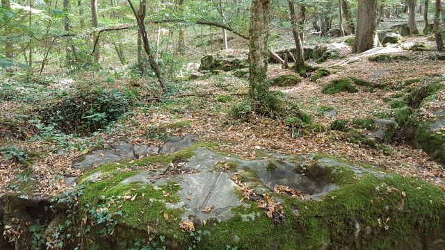 2018-08-25 - dourdan (14)
