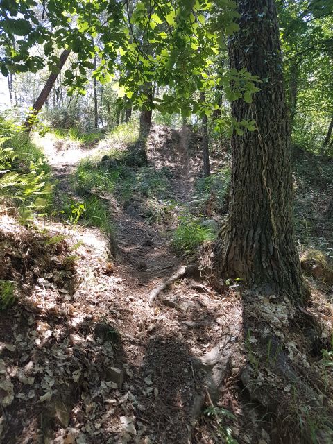 2019-05-31 saint-laurent-sur-oust (51)