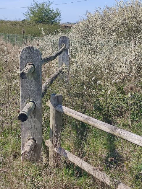 2021-04-08 - saint-jean-de-monts (08)
