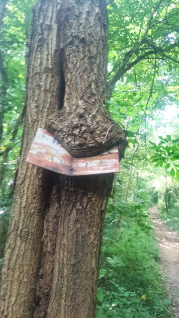 2022-06-19 - beaulieu-sous-la-roche (12)