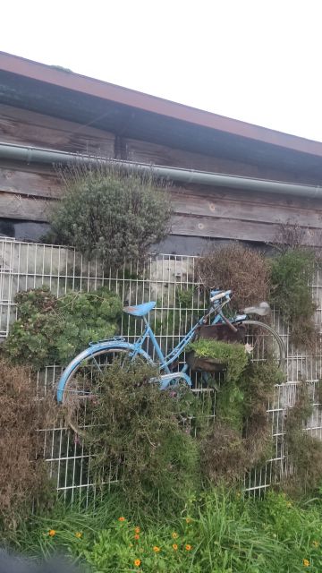 2022-11-06 - la ferriere (07)