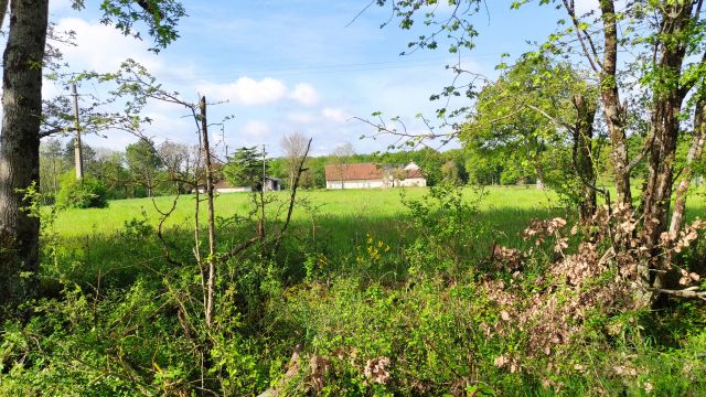 2023-04-30 - rosnay (13)