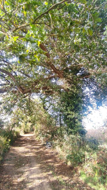 2023-09-17 - st-georges-de-pointindoux (06)