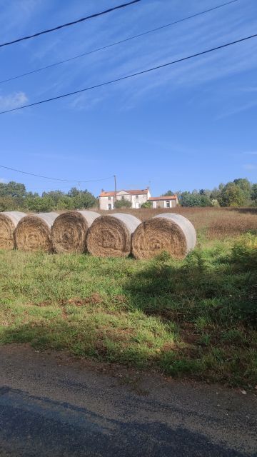 2023-09-17 - st-georges-de-pointindoux (07)