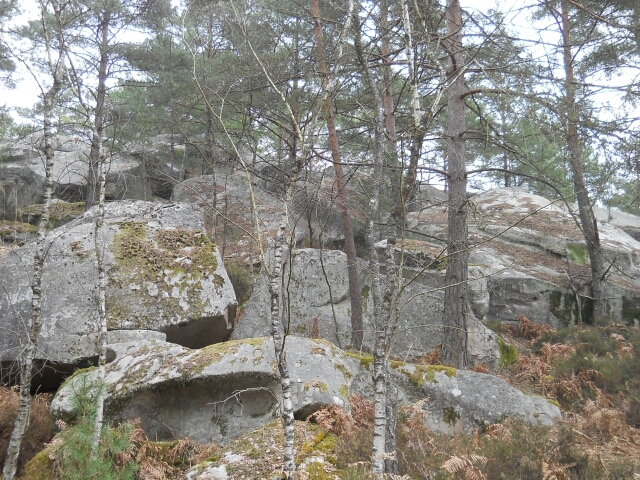 2015-03-22-fontainebleau (18)