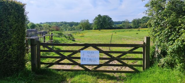 2024-05-12 - sainte-honorine-du-fay (14)
