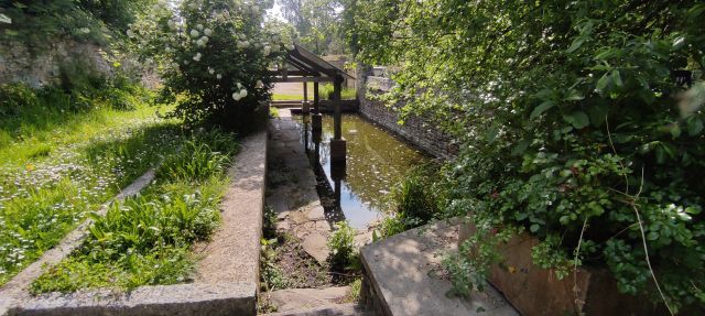 2024-05-12 - sainte-honorine-du-fay (16)