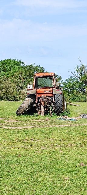 2024-05-12 - sainte-honorine-du-fay (17)