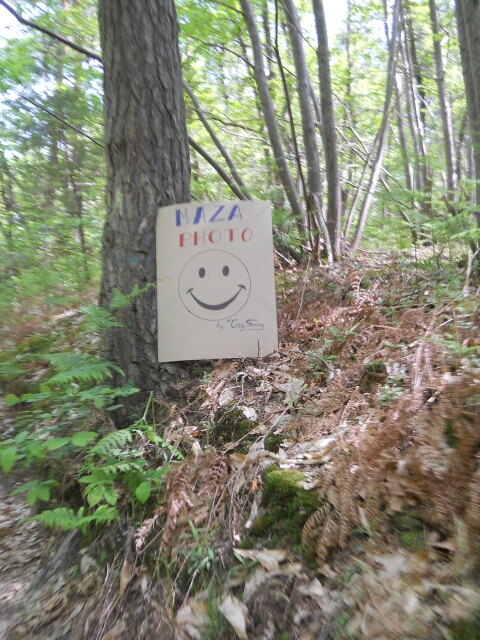2015-05-10-la-ferte-alais (07)