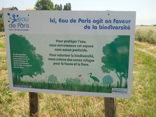 2015-06-06-fontainebleau (01)