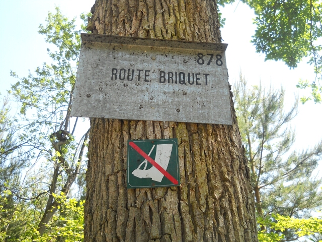 2015-06-06-fontainebleau (08)