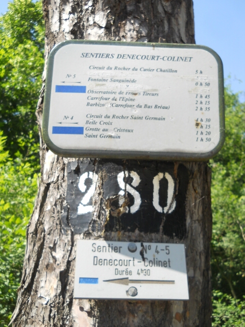 2015-06-06-fontainebleau (16)