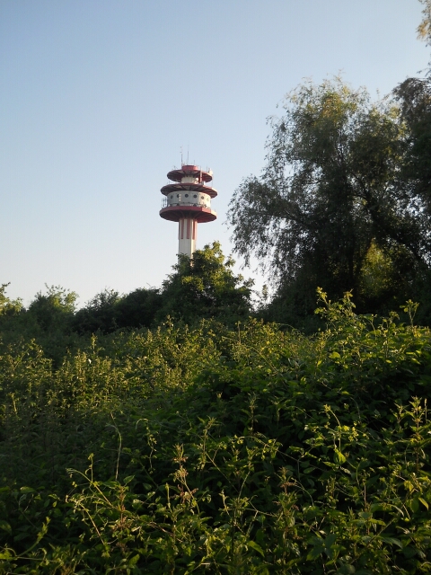 2015-06-06-fontainebleau (52)