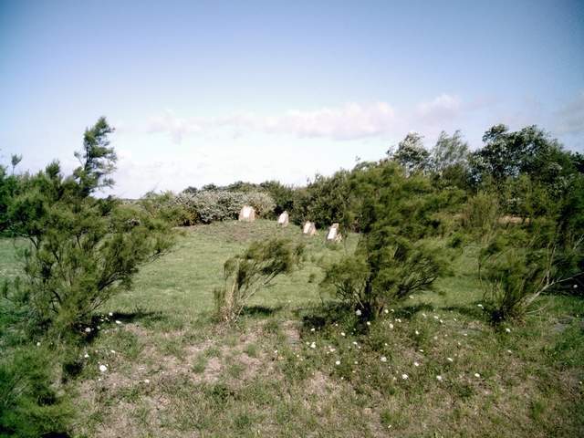 2007-07-17 (017)