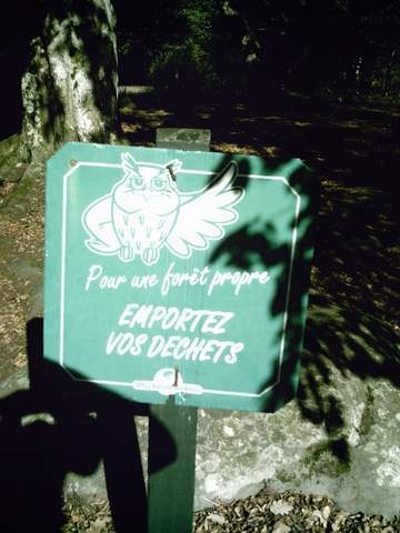 2007-09-09- la ronde de la foret (11)