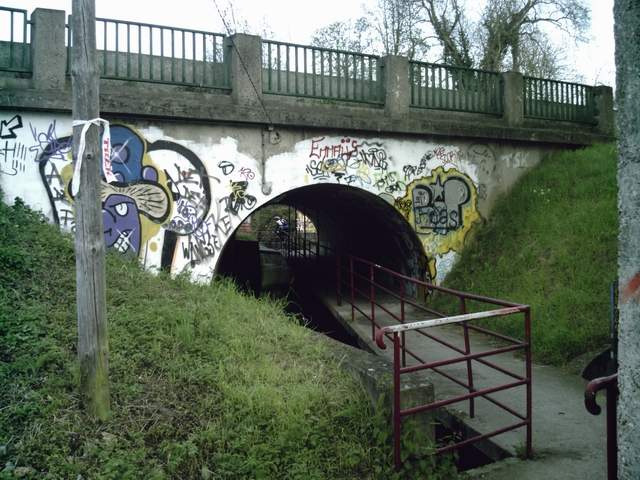 2008-04-13 - linas (05)