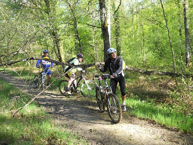 2013-05-11-carrouges (02)