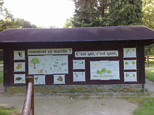 2009-06-14-dourdan (03)