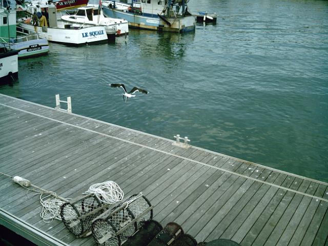2009-07-29- les sables (26)