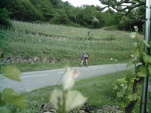 2010-05-13 - chateau-chalon (137)