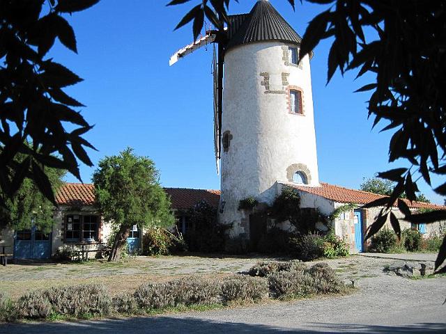 2010-07-30-sallertaine (007)