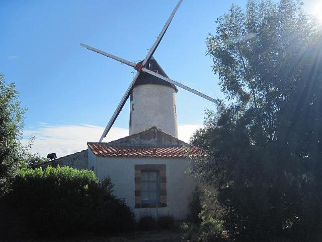 2010-07-30-sallertaine (008)